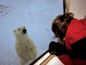 Live From Churchill: Oct. 20, 2009