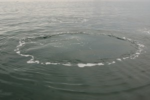 Beluga's submersible bubble.