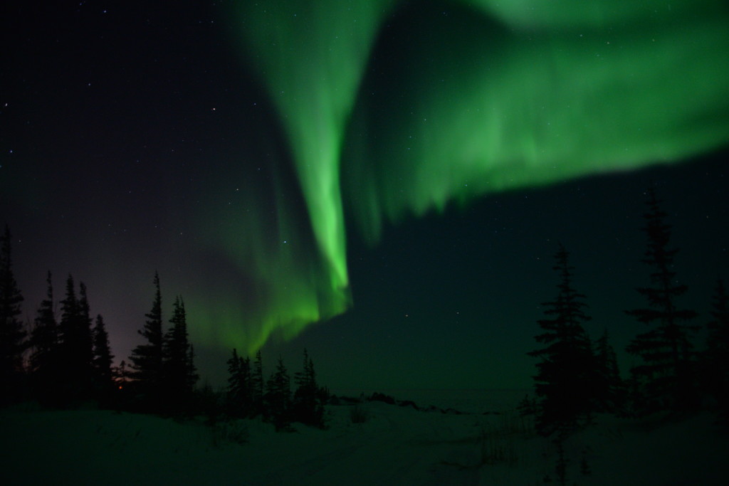 Aurora in Churchill, Manitoba.