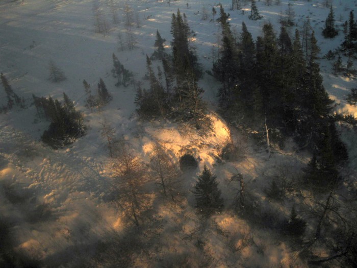 Polar Bear Dens Churchill Polar Bears