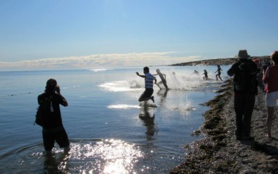 Churchill Canada Day – Polar Bear Dip