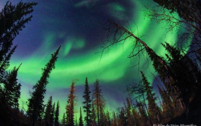 Magnificent Churchill Northern Lights Photo