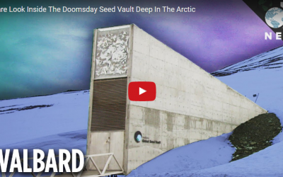 Doomsday Vault Tour – Video