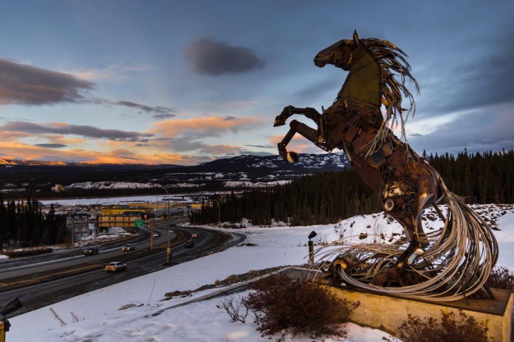 Whitehorse horse Daphne Mennell.