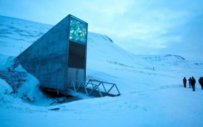 Seed Vault Needs Repairs After Leaks