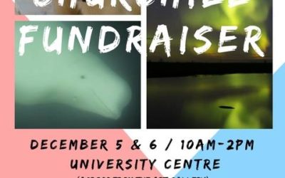 Churchill Sunday Photo – Fundraiser