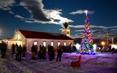 Happy Holidays from Churchillpolarbears.org