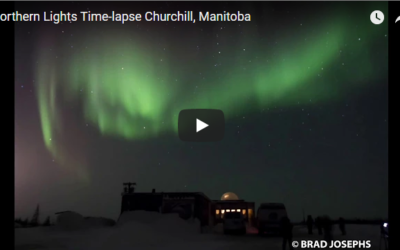 Northern Lights Time-lapse – Churchill