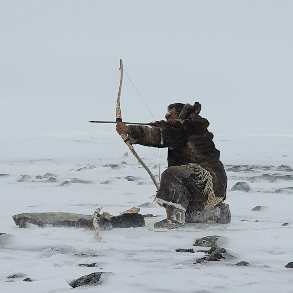 Churchill Photo of the Week – Hunter - Churchill Polar Bears