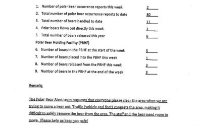 Churchill Weekly Polar Bear Stats